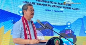 Perang Lawan Inflasi, Maluku Tabur 100 Ribu Bibit Cabai Sekaligus