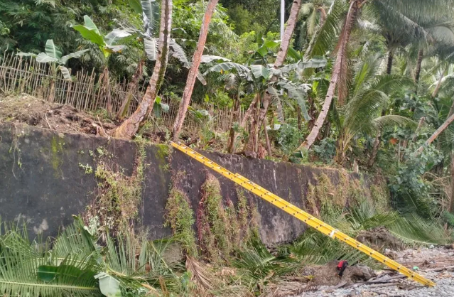 Petugas PLN Alami Kecelakaan Kerja Saat Potong Ranting Pohon di Larike
