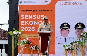 Data Ekonomi Akurat Jadi Kunci Perencanaan Pembangunan Daerah