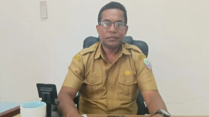 DLH Aru Hentikan Pengambilan Pasir di Pesisir Lamerang